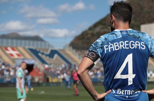 新齐头并进 新齐头并进