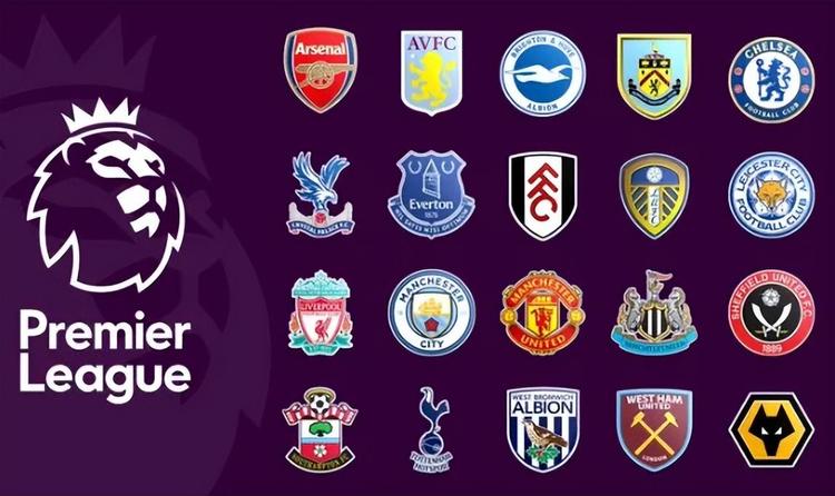 他们偏好 他们偏好